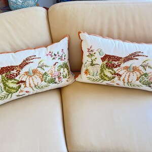 Pu&ograve; includere: Due cuscini rettangolari con sfondo bianco e design a tema autunnale. Il design presenta un fagiano, zucche e accenti floreali nei toni del marrone, verde, arancione e rosa. I cuscini hanno un bordo arancione smerlato.