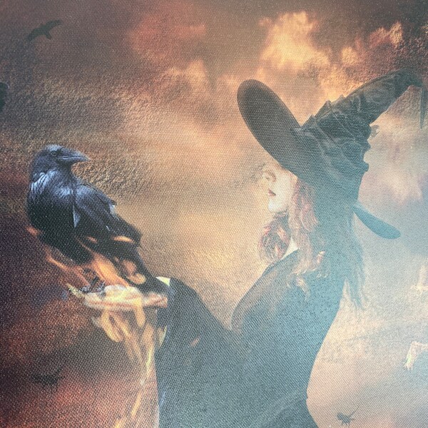 Light Up Witch With Birds Halloween Wall Art By Ashland