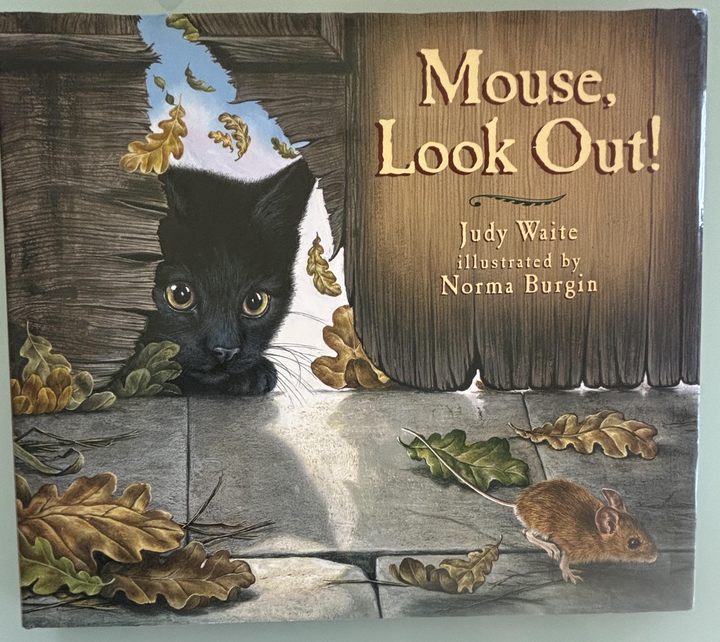 Mouse Look! Out: by Judy Waite Geat Book - Etsy