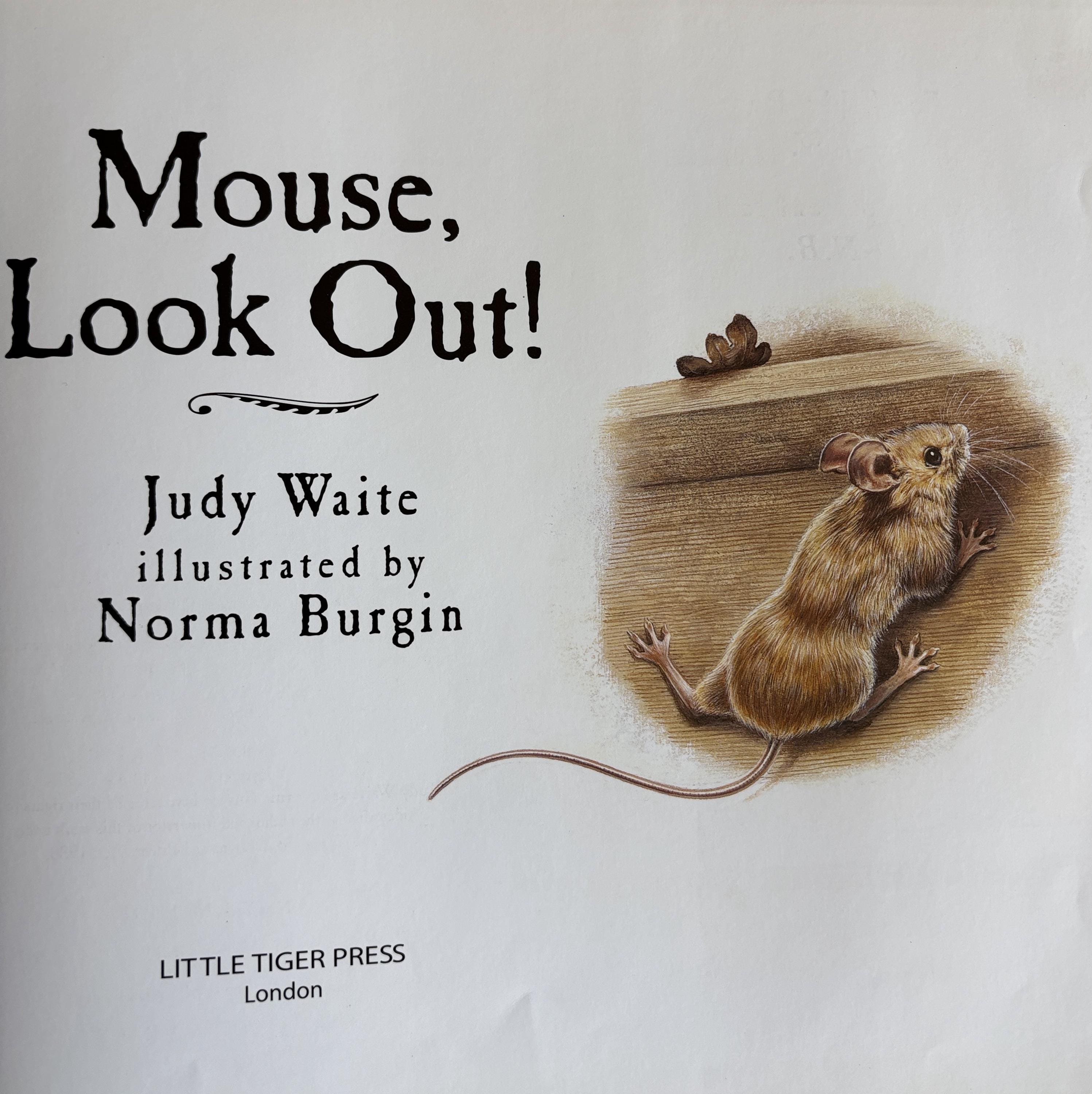 Mouse Look! Out: by Judy Waite Geat Book - Etsy