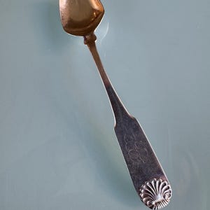 May include: A silver teaspoon with an ornate shell design on the handle. The spoon has a rounded bowl and a long, slender handle.