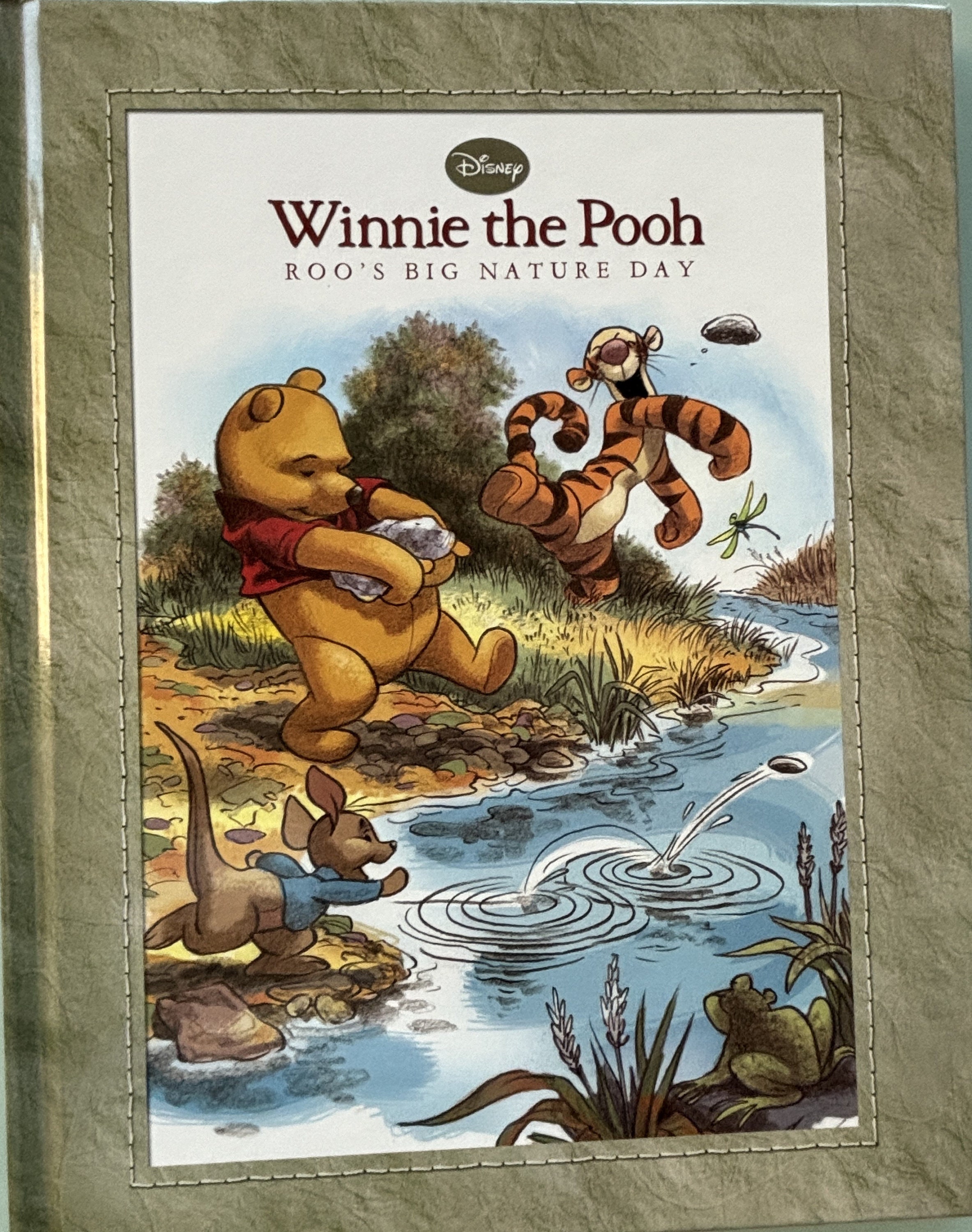 Winnie the Pooh - Roo's Big Nature Day ** 1st Edition ** - Etsy