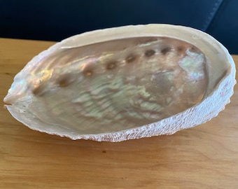 Pink Abalone Shell, Seashell Sculpture