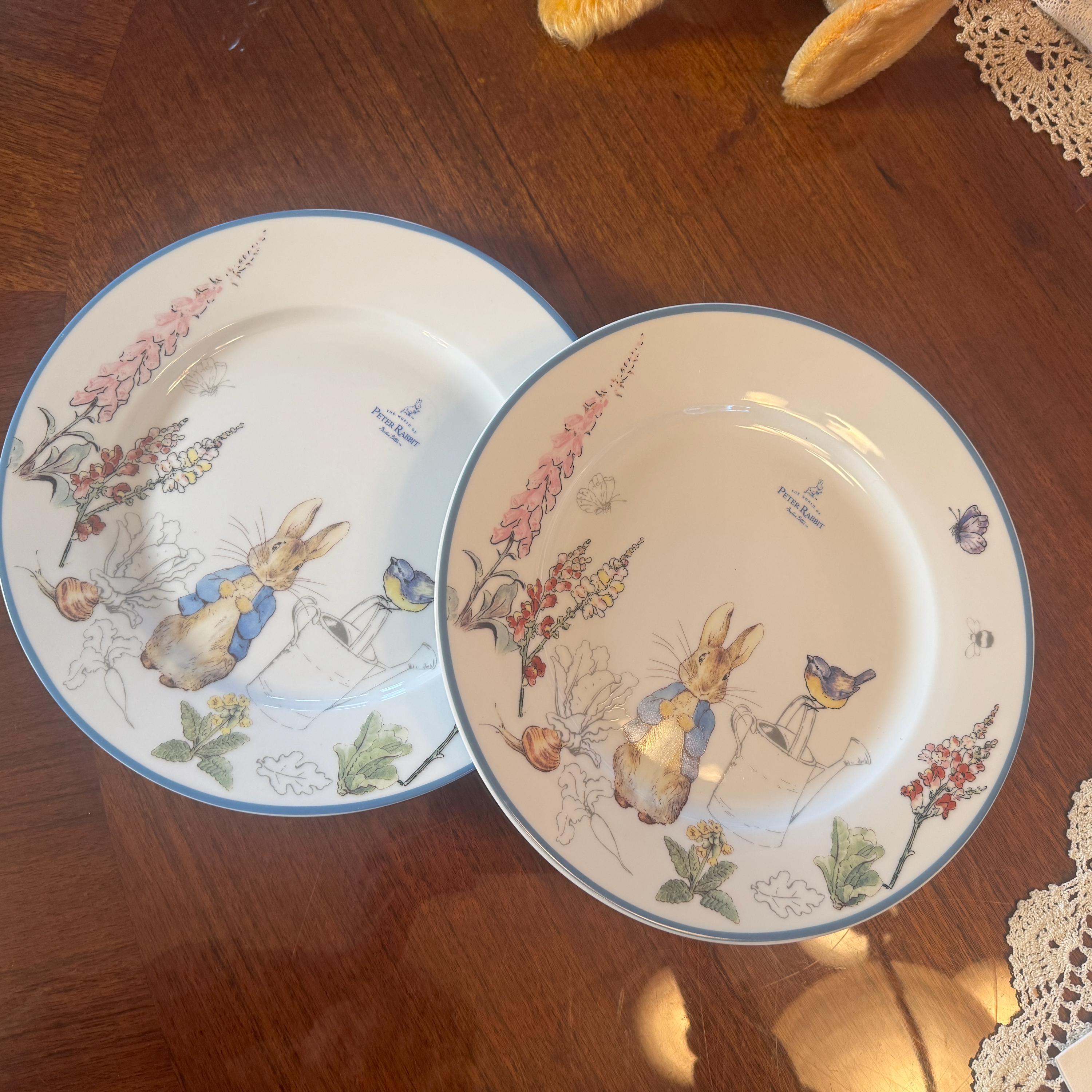 Peter Rabbit Zrike - Etsy