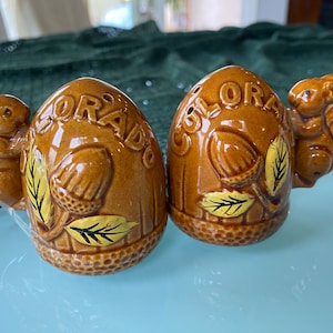 Vintage, Squirrel on Acorn Salt and Pepper Shaker Set, Colorado Souvenir, Memorabila Collectible,