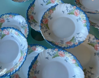 FRANCE Arcopal Dishware Florine Pattern 13Pc RARE Scarce