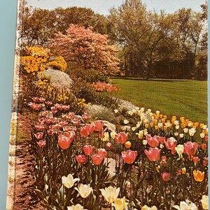 Encyclopedia of Gardening - New Illustraded - 1960