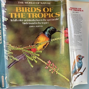 May include: A book cover with a vibrant orange and black bird perched on a branch with red flowers. The book title is "Birds of the Tropics" and the subtitle is "In full color-an introduction to the spectacular birds found in the tropics". The author is John A. Burton.