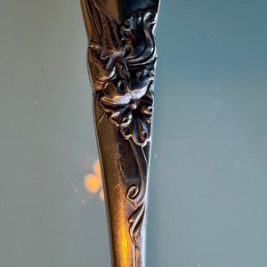 Vintage Slotted Relish Spoon Oneida 1881 Rogers Victorian Classic Pattern ORCHID