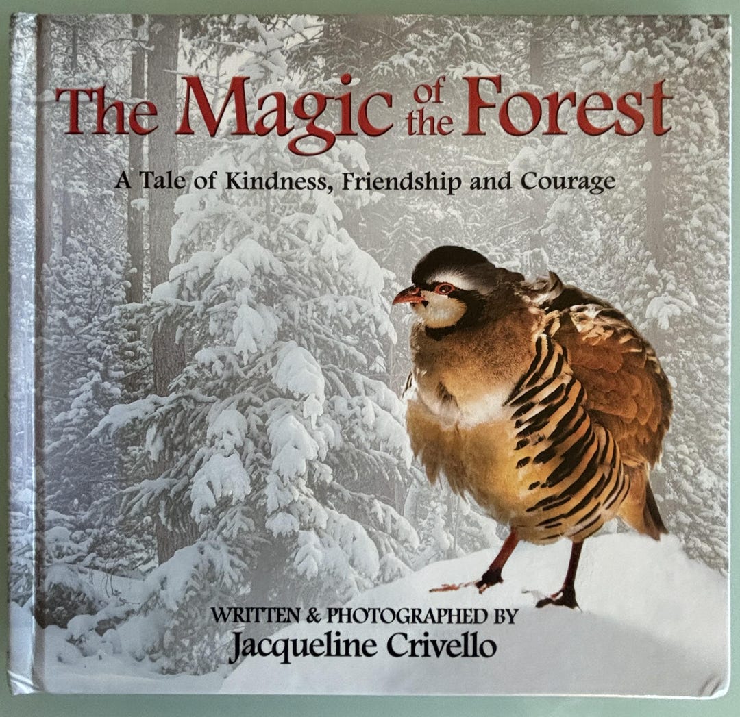 The Magic of the Forest (A Tale of Kindness, Friendship and Courage ...