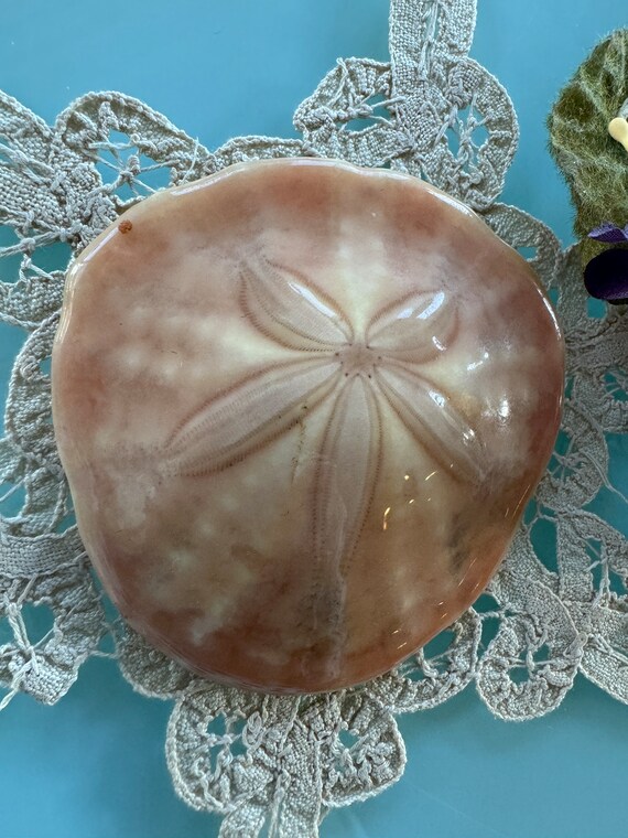 SAND DOLLAR Gift from the Ocean Brooch or Pendant… - image 1