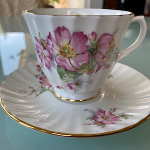 Vintage Duchess Porcelain Bone China Wild Rose Teacup Floral England Holiday Gift