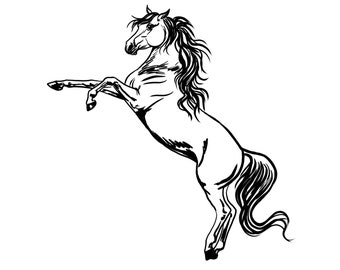 Horse Graphic Clip art Downloadable Png, use for  Sublimation, Cut file, Cricut, Design Horses Png, Hand Drawn Horse Png, DIY Horse file