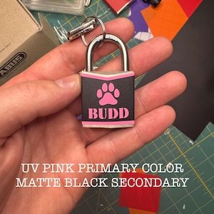 30mm | Custom Paw Print Padlock | Marine Grade | Choose 2 Colors & Add Your Name | Lifetime Warranty