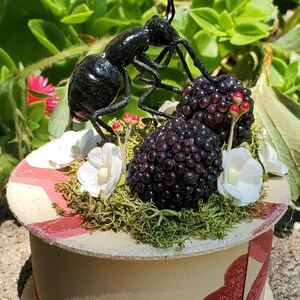 May include: A decorative box with a black ant figurine, blackberries, white flowers, and green moss. The box is beige with a red ribbon design. The background features green foliage and pink flowers.