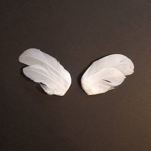 May include: Two white feathers, possibly wings, are displayed against a dark background. The feathers have a soft, fluffy texture and are arranged to suggest a symmetrical design. The feathers are likely used for crafting or decorative purposes.