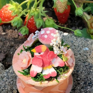 May include: A decorative, pink, tiered box with a bird figurine, flowers, and a mushroom. The bird is red, yellow, and white. The box is decorated with glitter and sits on a stone surface, with strawberries in the background.