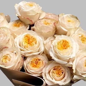 May include: A bouquet of cream-colored roses with a hint of yellow in the center of each bloom. The roses are arranged in a circular pattern and are surrounded by green leaves.