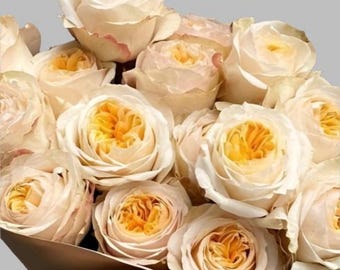 May include: A bouquet of cream-colored roses with a hint of yellow in the center of each bloom. The roses are arranged in a circular pattern and are surrounded by green leaves.