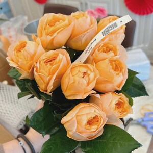 May include: A bouquet of peach-colored roses with dense, layered petals and dark green leaves. A white paper tag is tucked into the flowers, featuring the text 'Bergamotte' and '80 cm' along with a barcode and a small star icon.