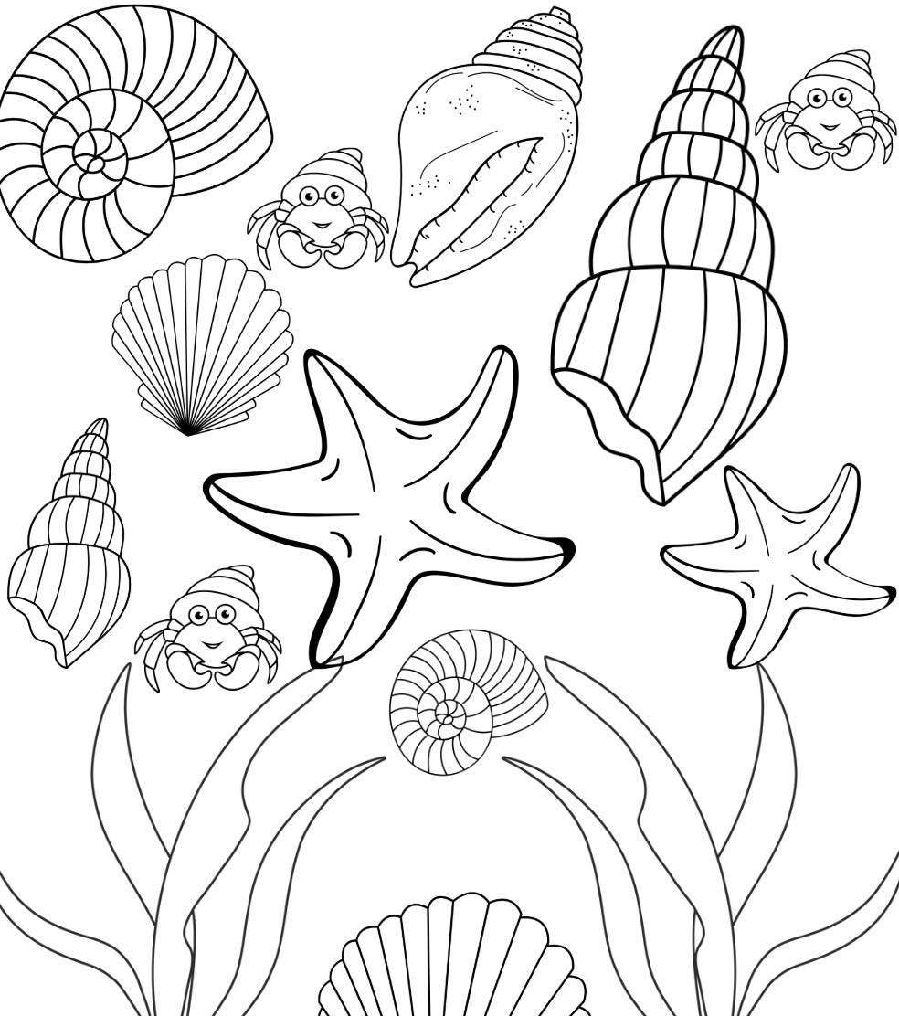 Página para colorear de conchas marinas: cangrejos y cangrejos ermitaños (descarga digital)