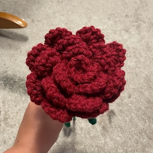 crochet rose