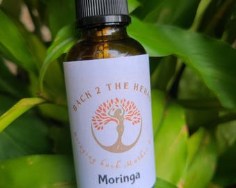 Moringa-Tinktur für natürliche Energie