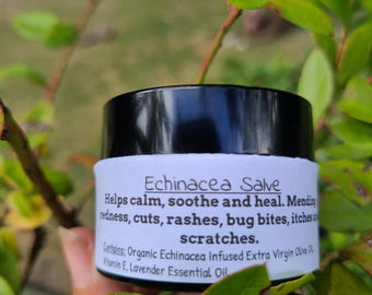 Echinacea Salbe: Organische Heilung für Schnitte, Ausschläge, Bisse