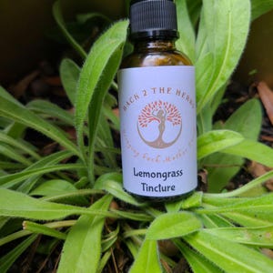 Lemongrass Tincture: Natural Digestion & Sleep Support