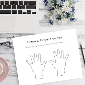 Label Piano Hands - PDF Printable - for Music Teachers- Music Theory - Beginner Piano
