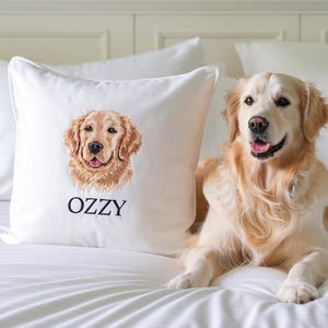 May include: A white cushion featuring an embroidered Golden Retriever portrait, with the name "OZZY" beneath. A real Golden Retriever dog is lying on a white bed beside the cushion.