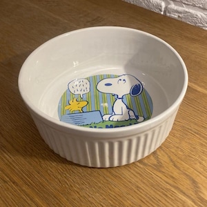 25cm ceramic dog bowl Ceramic Dog Bowls  Stylish & Durable Pet Feeding Dish  Rengora