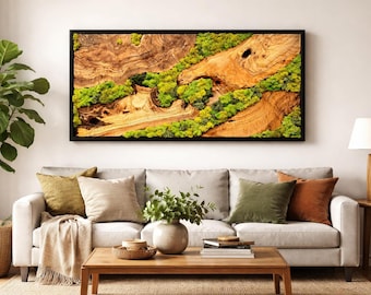 Moss Wall Art with Live Edge Olive Wood, Preserved Moss Decor