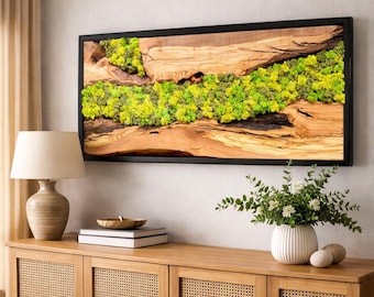 Real Moss & Olive Wood Wall Art – Handmade Organic Decor Statement Piece