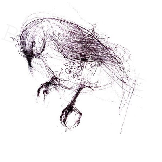Black Bird Art Print Illustration Wall Art Hand Sketch Ink Etsy