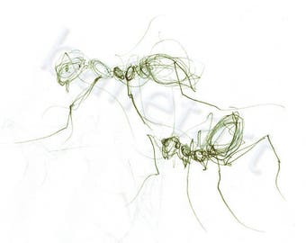 Olive Green Ants, ant art, ink drawing, insect art, green artwork, green wall decor, green and white, art prints, interior design