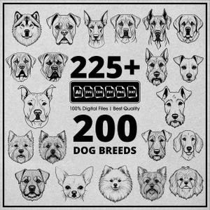 Dog Breeds Svg Bundle, Dog Head Svg, Dog Svg Bundle, Dog Mom Svg Bundle, Dog Outline Svg, Dog Clipart, Dog Silhouette File, Dog Cricut File
