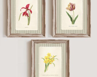 Vintage Flowers Digital Wall Art Print, flower Poster, Decor for Home