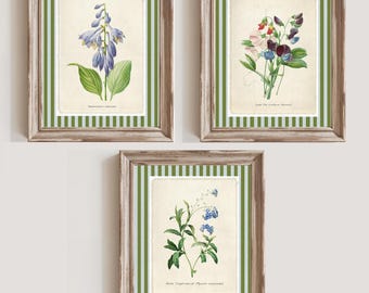 Vintage Flowers Digital Wall Art Print, flower Poster, Decor for Home