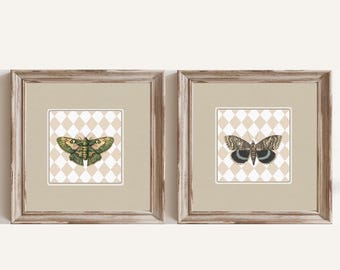 butterflies Digital Wall Art, Vintage Print, Animal Poster, Decor for Home