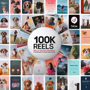 100,000 Videos PLR MRR Bundle: Satisfying, Gaming, Luxury, Animated AI, Motivational, Funny, Cat, Instagram Reels, YouTube Shorts, TikTok