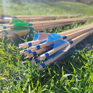 Personalized Traditional Custom Arrows (2.5 inch Turkey Feather) for Target Archery shooting Hunting wooden wood Ottoman Medieval Viking bow
