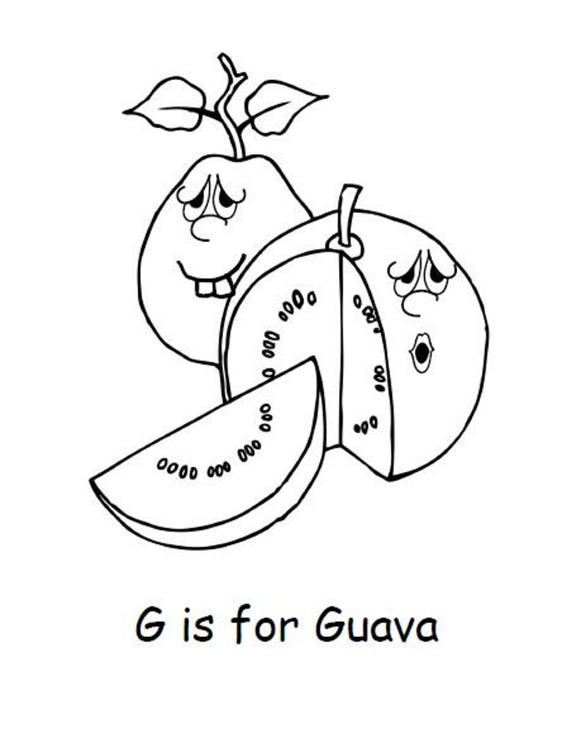 Guava Shape/color Fillable Coloring Pages | 28 Pages | Fruit Coloring Pages | for Kids and Adults ...