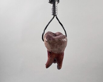 May include: A pendant necklace featuring a molar tooth charm. The tooth is a mix of pink, brown, and red hues, suspended from a black cord. The cord is attached to a silver-toned metal clasp. The background is a plain, light gray.