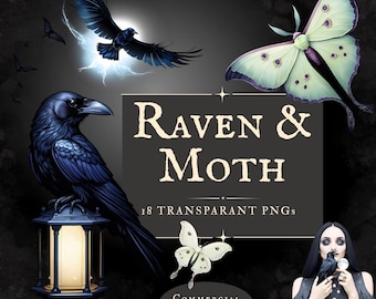 Clipart di corvo e falena - 18 PNG dall'estetica dark per uso commerciale / Arte gotica di uccelli per Halloween / Grafica per diario di bordo con corvo, luna e falena