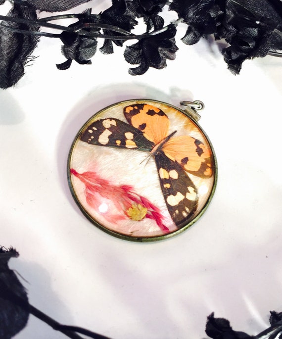 Beautiful Large  Victorian Butterfly Medallion Gl… - image 2