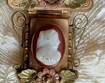 Schöne viktorianische Mourning Multi Gold Kamee antike Haarlocket