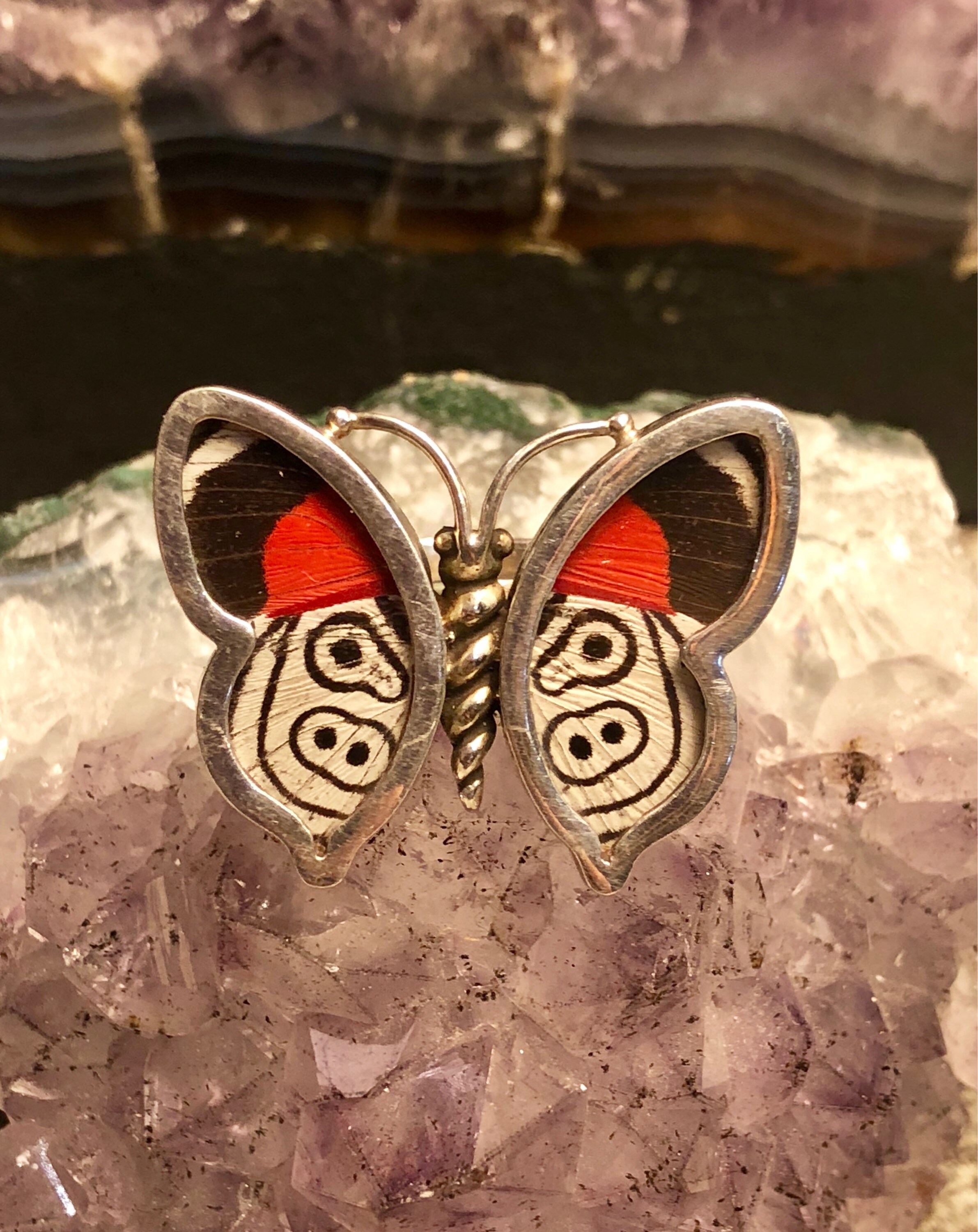 butterfly ring 【アート作品】販売します。 【公式通販】 butterfly ring 【アート作品】販売します。 【公式通販】