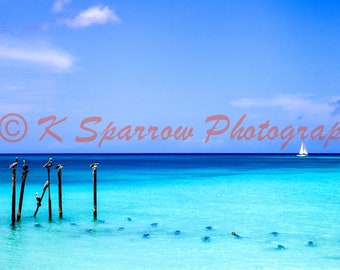 Old Pier, Aruba - photograph, ocean, cloud, Caribbean, sky, island, blue, boat, ship, reef, beach, sand, pelican, pier, dock, birds