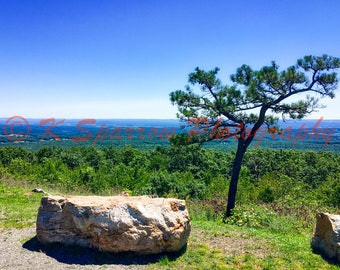 High Point Mountain, New Jersey, nature, north jersey, pine, stone, view, horizon, skyline, blue, green, State Park, that view, look out